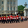 Buckingham Guards