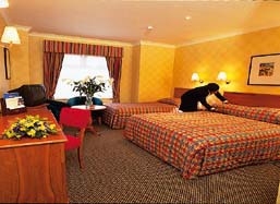 A family room at Comfort Inn Harrow